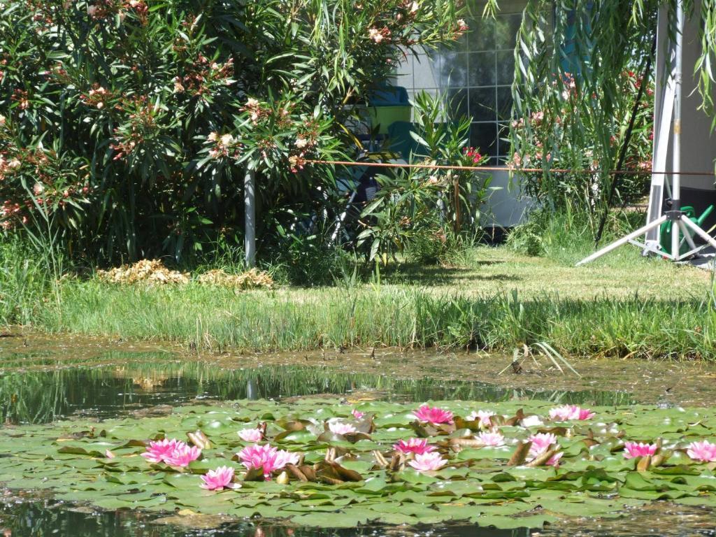 Camping Villaggio Italgest SantʼArcangelo Kültér fotó
